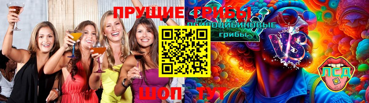Галлюциногенные грибы Psilocybine cubensis Узловая