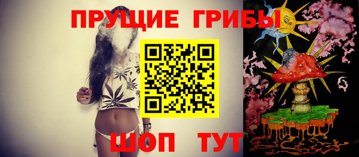 Узловая  Галлюциногенные грибы прущие грибы  Вход с VPN  Галлюциногенные грибы Psilocybine cubensis 